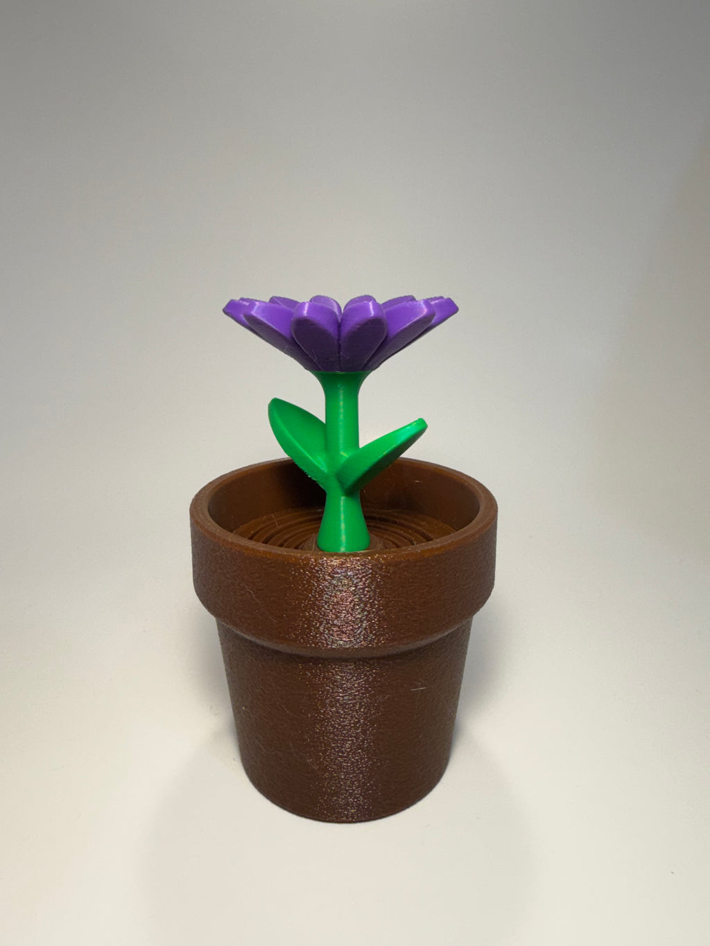 Cactus, Tulip, Daisy &amp; Sunflower