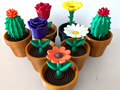 Cactus, Tulip, Daisy &amp; Sunflower