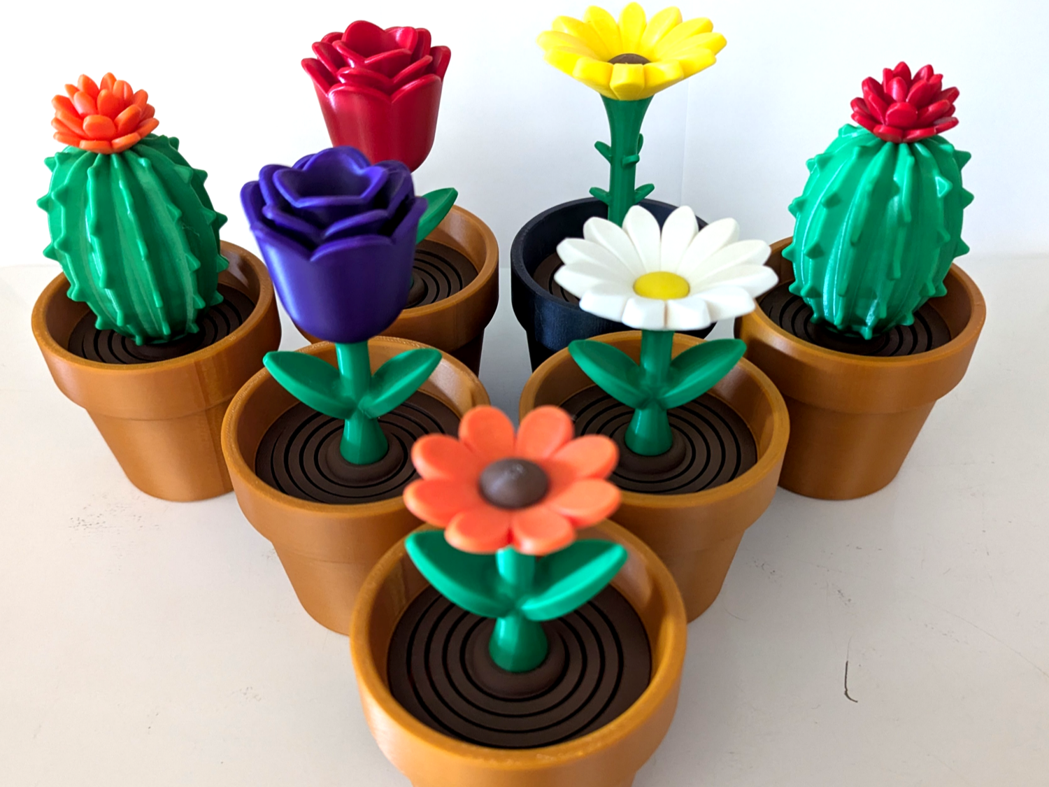 Cactus, Tulip, Daisy &amp; Sunflower